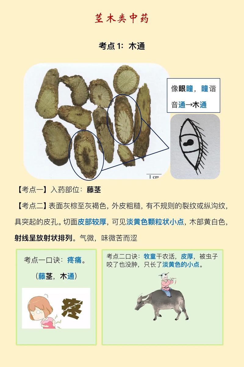 梵康印度代购希爱力是真的吗？避坑指南与正品鉴别全攻略